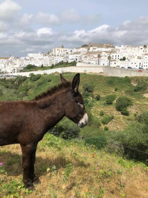 Casita Tacande - Una Bonita Casita Situada En El Casco Antiguo De Vejer De La Frontera Luaran gambar